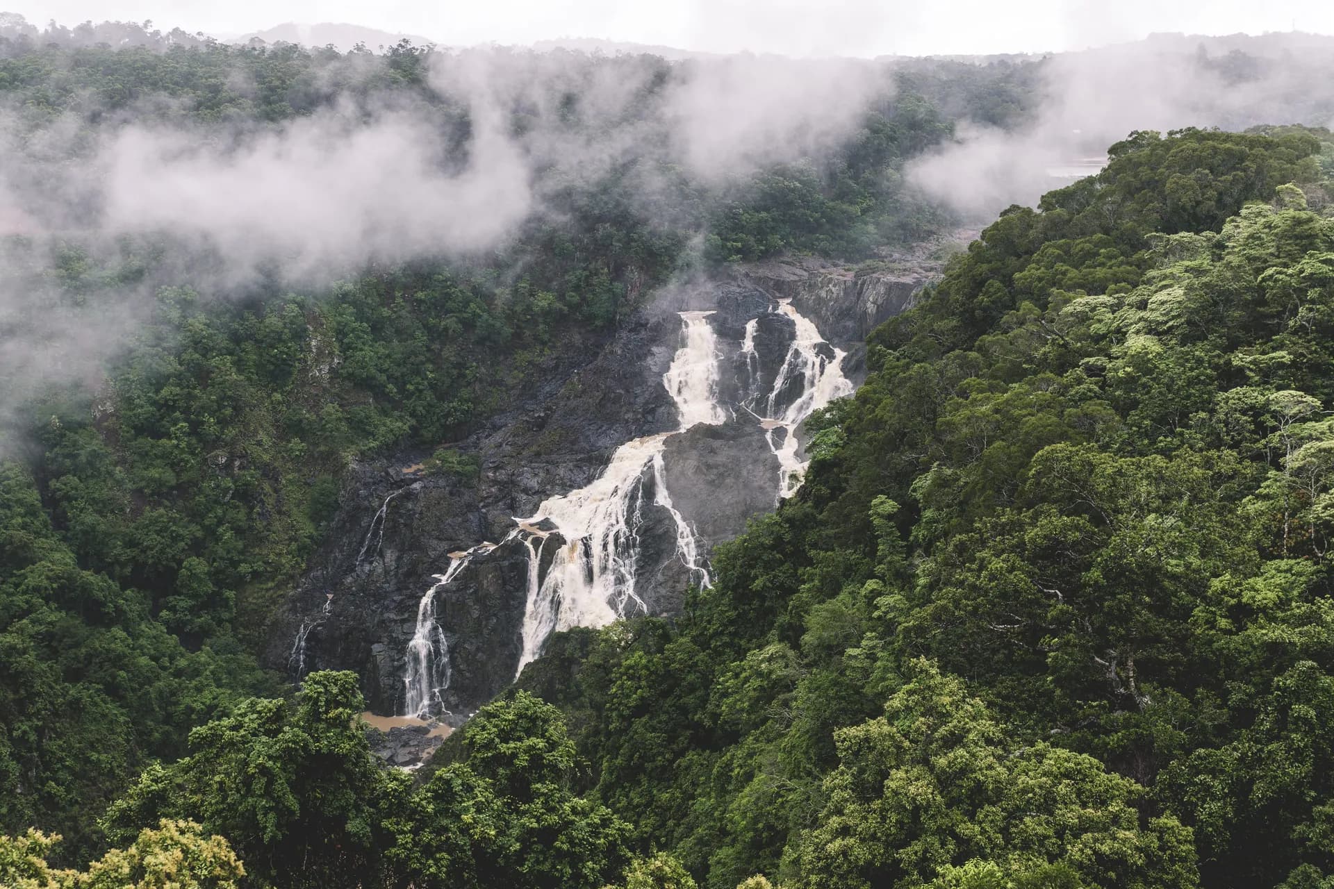 Kuranda Private Day Discovery